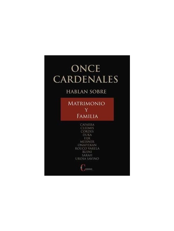Once cardenales hablan sobre el matrimonio y la familia