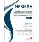 Mesibah. Materiales de apoyo para las celebraciones litúrgicas de Adviento y Navidad 2020-2021 Ciclo B