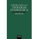 Introducción a la Teología Evangélica