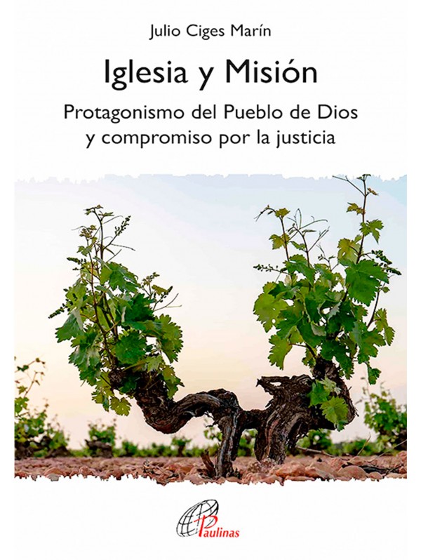 Iglesia y misión. Protagonismo del Pueblo de Dios y compromiso por la justicia