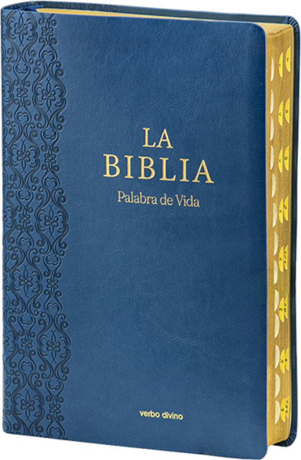 La Biblia. Letra extragrande. Versión hispanoamérica.
