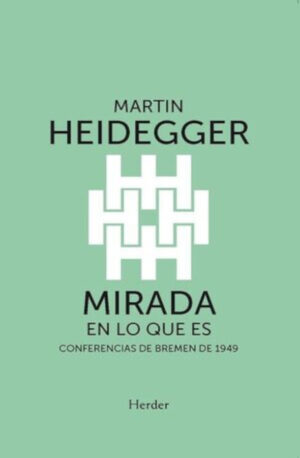 MIRADA EN LO QUE ES