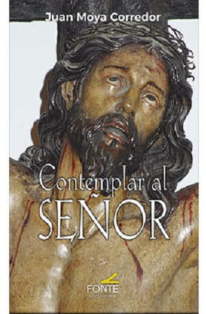 Contemplar al Señor