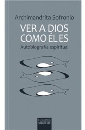 Ver a Dios como Él es