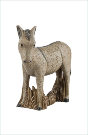 Burro