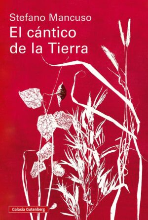 EL CÁNTICO DE LA TIERRA
