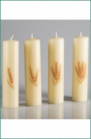 Juego 4 Velas Adviento espigas 50Ø x 250 mm